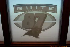 Carolina-Panthers-Suite-87-logo