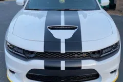 Charger-Hell-Cat-Custom-Stripes2